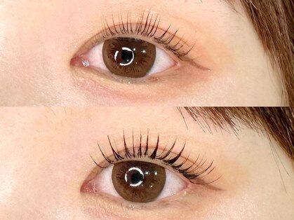 ヴィヴァーチェ アイアイ(Vivace i Eye)の写真
