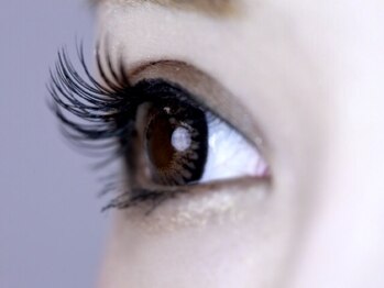 ベルシア ボディアンドアイラッシュ(Belsia)/ボリュームラッシュ240本