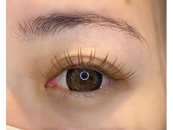 ラプレ(Lapule)/フラットラッシュブラウン!