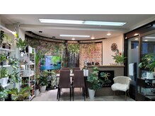 キノ(kino)の雰囲気（観葉植物が沢山の店内！アットホームサロン！）