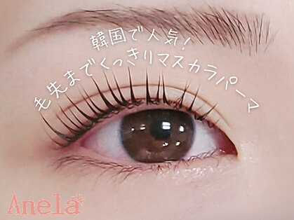 アネラ イオンモールつくば店(anela)の写真
