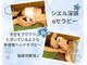 パナケイアの写真