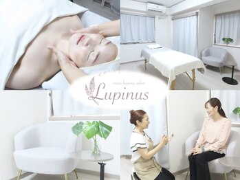 ルピナス(Lupinus)