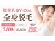バニスター(Bannister)の写真