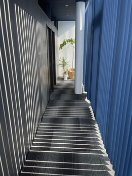 スローミー(slowmmy)/春の木漏れ日