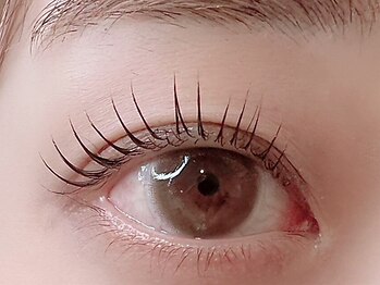 メモト 四条烏丸店(memoto)/まつげパーマ