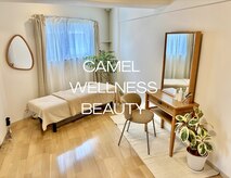キャメル(CAMEL)