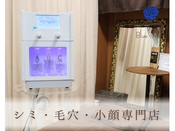ブルーローズサロン 金沢駅前 武蔵店(Blue Rose salon)の写真/【シミ・しわ・くすみが気になる方へ】大人の本格肌管理でハリ・ツヤあふれる素肌へ♪