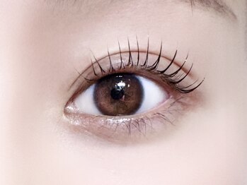 アイビーラッシュ(Eye be Lush)/韓国パーマデザイン