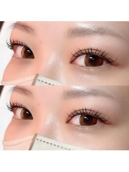 ルルト(Luluto)/フラットラッシュ160本