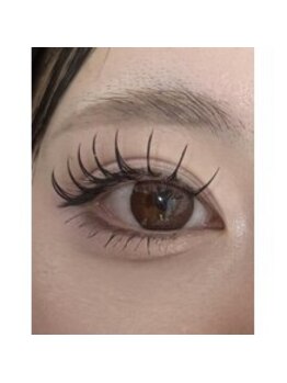 バニーアイズ 天神(Bunny eyes TENJIN)/フラット160本