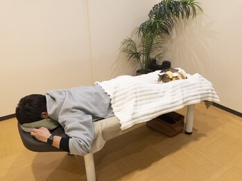 晴々/お客様の足元で