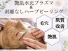 【肌質改善・水光肌】剥離なしハーブピーリング＋水光プラズマ艶肌コース
