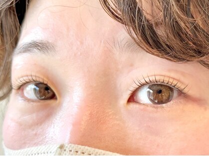 ヴィヴァーチェ アイアイ(Vivace i Eye)の写真