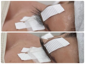 ルチア(Lucia)/アップワード取扱有り