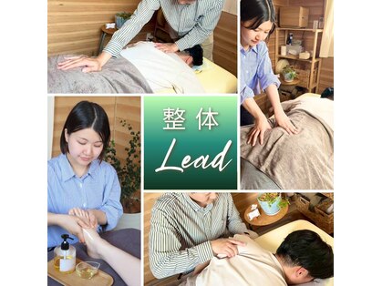 整体リードの写真