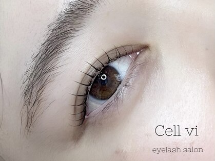 セルヴィ(Cell vi)の写真