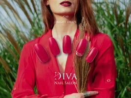 One color plus(ストーン)