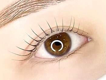 リラ 今店(Lyra)の写真/《高技術×丁寧×持続力》でリピーターさん多数◎施術後の仕上がりに感動の声続出！理想のお目元へ導きます