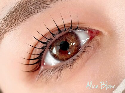 アリス ブラン(ALICE BLANC)の写真