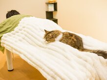 晴々/お客様の足元で