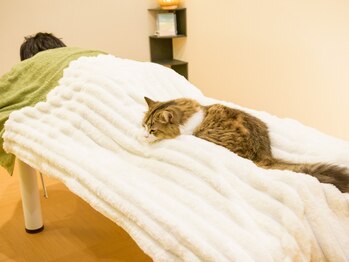 晴々/お客様の足元で