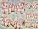 ミラクルネイル(Miracle Nail)の写真