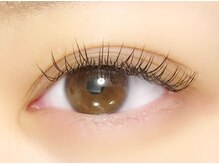 ラズル ダズル(RAZZLE DAZZLE)/フラットラッシュ120本