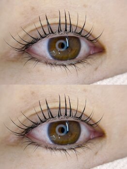 アイラ MEGAドンキUNY掛川店(EYELA)/