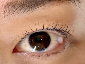 アルーマ アイ(allma.eye)/まつ毛パーマ まつ毛カール