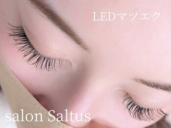 サロン サルタス(salon Saltus)