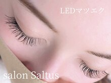 サロン サルタス(salon Saltus)