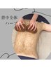 【背中全体ハーブピーリング】REVI 挙式前や前撮り前の背中ケアに　￥22,000