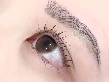 ネオリーブ ウリ(Neolive uri)/パリジェンヌ/アイブロウ