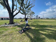 クスノキ(9sの木)/ヨガ