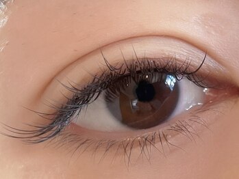 ブライト(Bright)/フラットラッシュ