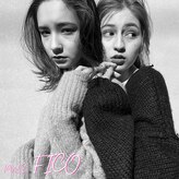 フィコ(+fico)