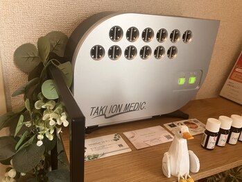 ねむりの止まり木/室内は大自然の空気