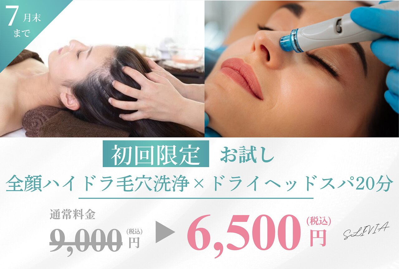 美顔&頭皮ケア エステサロン 定価56700円 スリビア(SLIVIA)｜ホットペッパービューティー