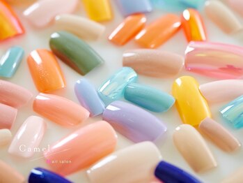 キャメル つくば(Camel.)/カラーチャート