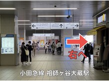 マタハリ(Matahari)/道案内