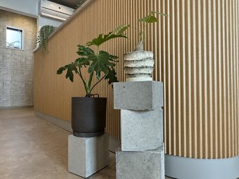 メグル(meguRu)/植物たち