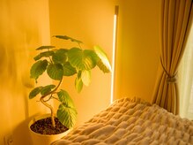 リオズ(RIO'S)/雰囲気/ボディーケアマッサージ