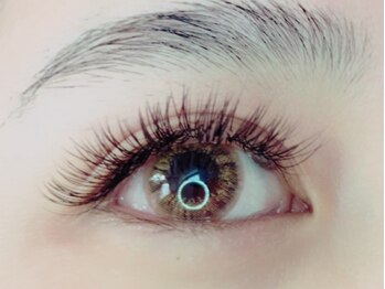 ラマジ(Lamazi)/ダークブラウン