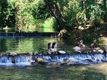 アジアンリラクゼーション ヴィラ 福岡東店(asian relaxation villa)/タイ；ターパーイ温泉