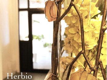 ハービオ 春日店(Herbio)/Herbio入口☆