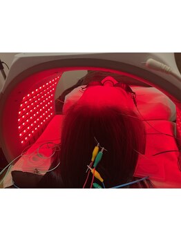 ハリツヤをUPしたい