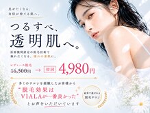 ビアラ(VIALA)