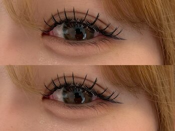 コノハ(KONOHA)/フラットラッシュ120本