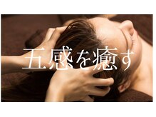 多数オプションメニューあり。カスタマイズで無駄なくキレイを